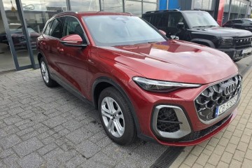 Salon Polska idealny